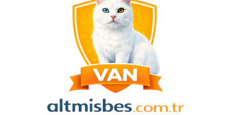 altmisbes.com.tr Logo