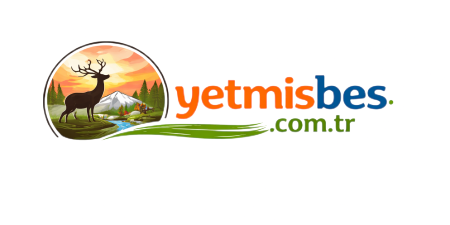 yetmisbes.com.tr Logo